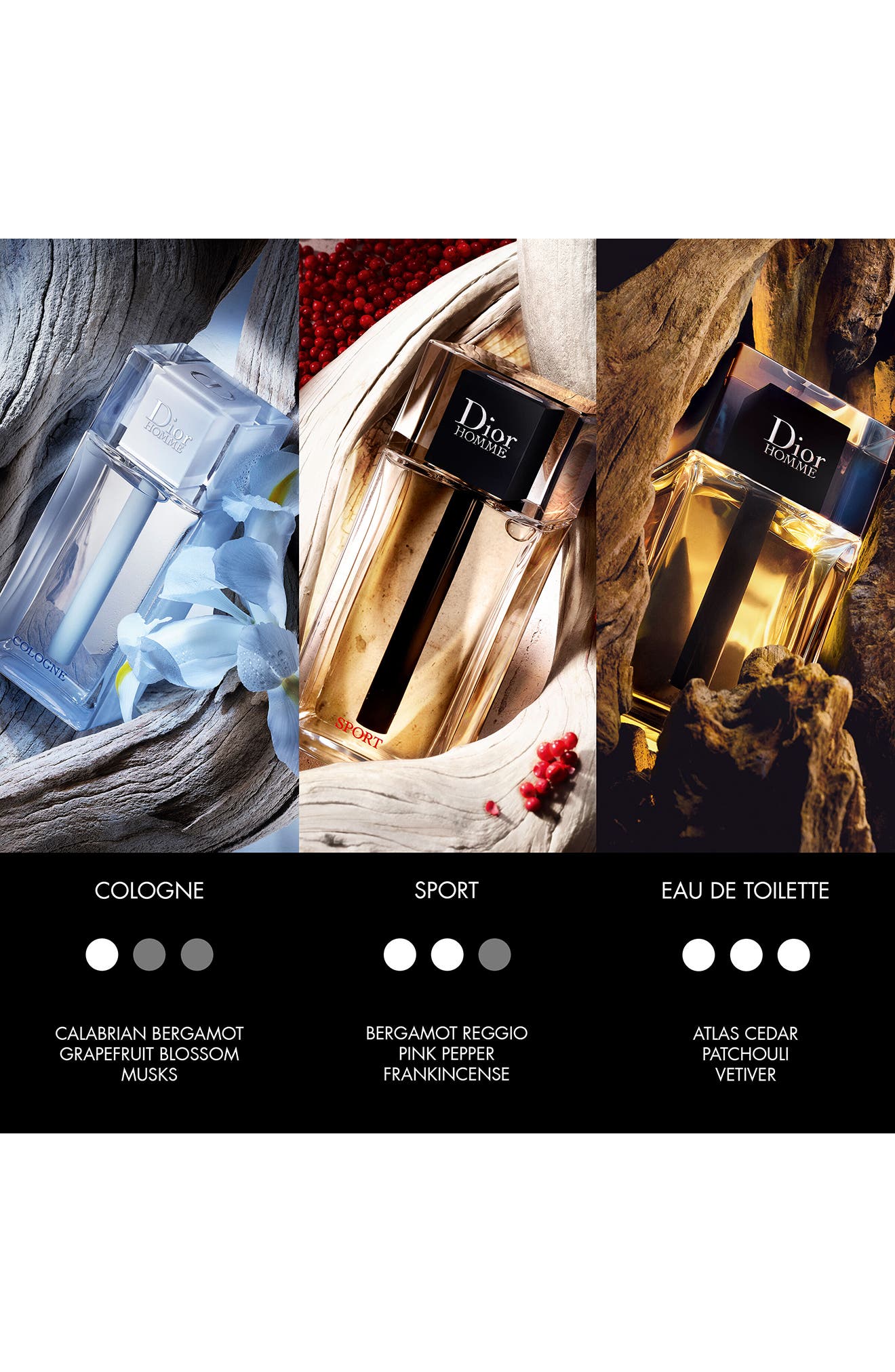 nordstrom dior homme