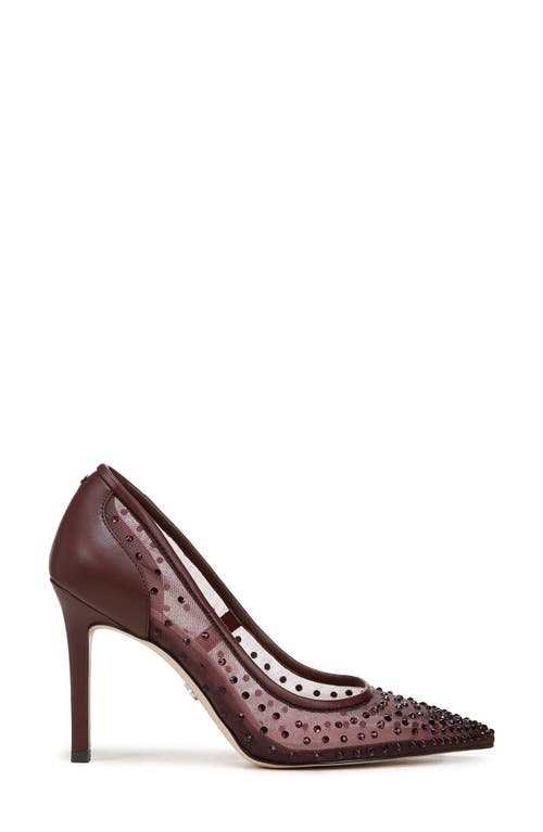 Shop Sam Edelman Hazel Mesh Pointed Toe Pump In French Burgundy