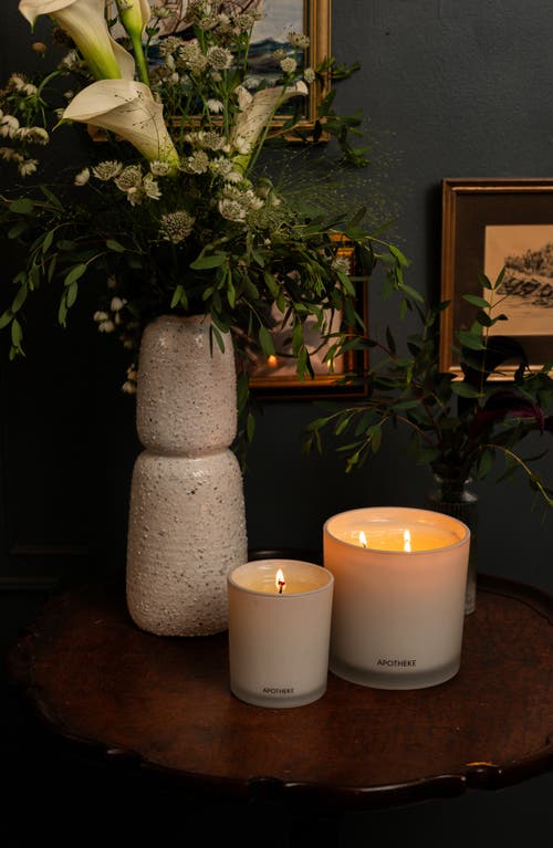 Shop Apotheke White Vetiver 3-wick Candle