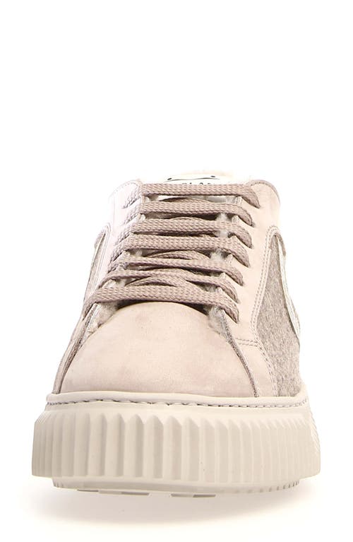 Shop Voile Blanche Lipari Geniune Shearling Lined Sneaker In Cream Beige