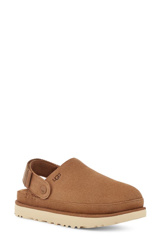 Ugg Goldenstar Clog In Chestnut | ModeSens