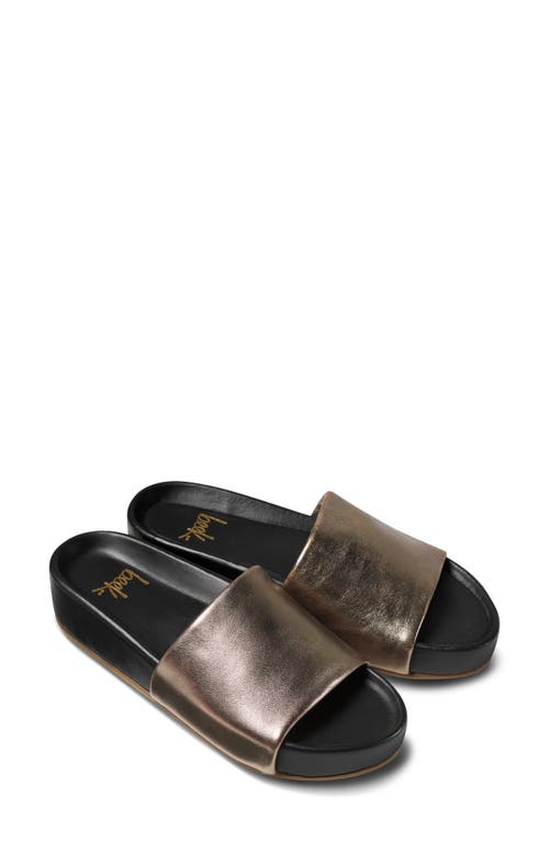 Pelican Slide Sandal in Bronze/Black