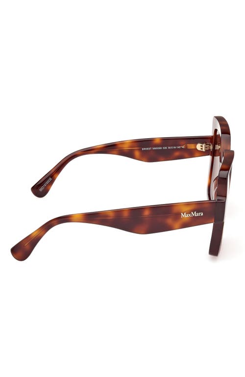 Shop Max Mara Ernest 56mm Square Sunglasses In Dark Havana/brown