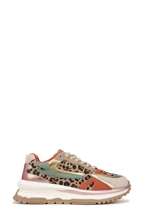 BLOWFISH FOOTWEAR BLOWFISH MALIBU LEO SNEAKER