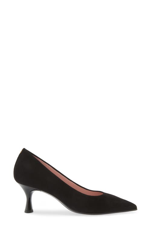 Naot Margot Pointed Toe Pump In Black Classic Suede