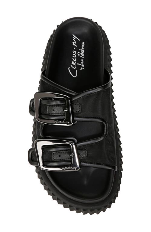 Circus Ny By Sam Edelman Cris Mesh Sandals In Black