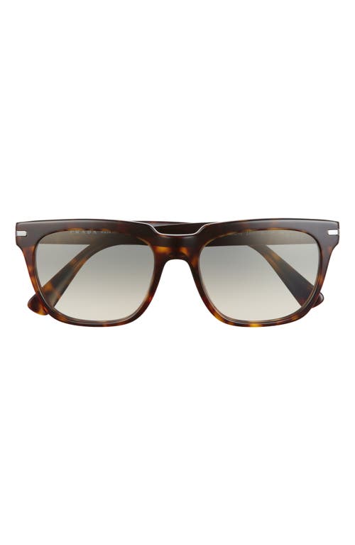 EAN 8056597516266 product image for Prada Pillow 56mm Rectangular Sunglasses in Tortoise/Clear Gradient Grey at Nord | upcitemdb.com