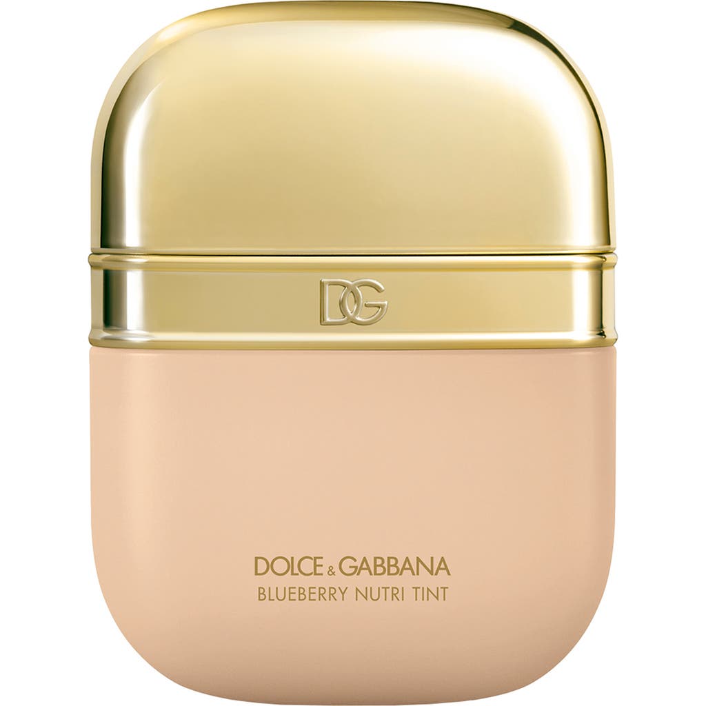 Dolce & Gabbana Dolce&gabbana Blueberry Nutri-tint Hydra-glow & Fresh Skin Tint In 6w