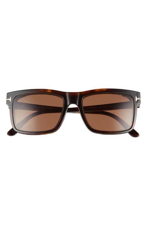 Shop Tom Ford 54mm Blue Light Blocking Glasses & Clip-on Sunglasses In Dark Havana/clear/roviex