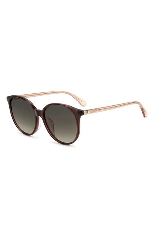 Shop Kate Spade New York 56mm Kaiafs Round Sunglasses In Brown/brown Gradient