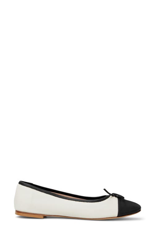 Shop Bruno Magli Donatella Cap Toe Ballet Flat In Black/cream