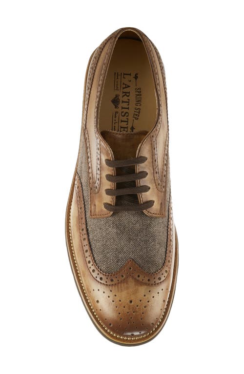 L'artiste By Spring Step Beaufort Derby In Camel