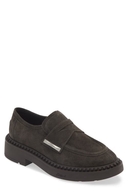 Ash Medusa Loafers In Gunmetal Suede In Bistro
