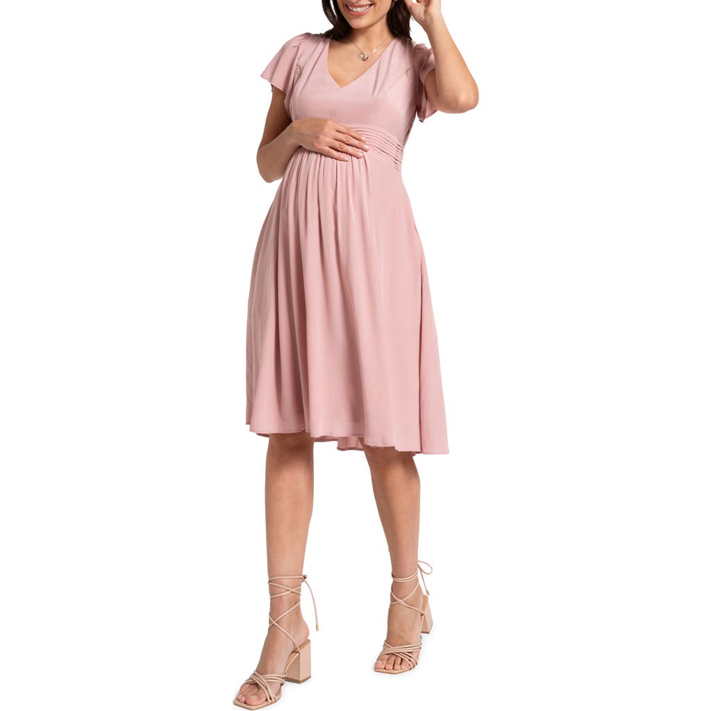 Seraphine Flutter Sleeve Maternity/nursing Dress In Blush | ModeSens Seraphine Flutter Sleeve Maternity/nursing Dress In Blush | ModeSens