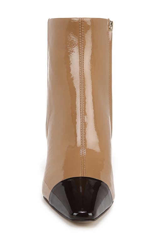 Shop Sam Edelman Saige Cap Toe Bootie In Camel Sand/rich Chocolate