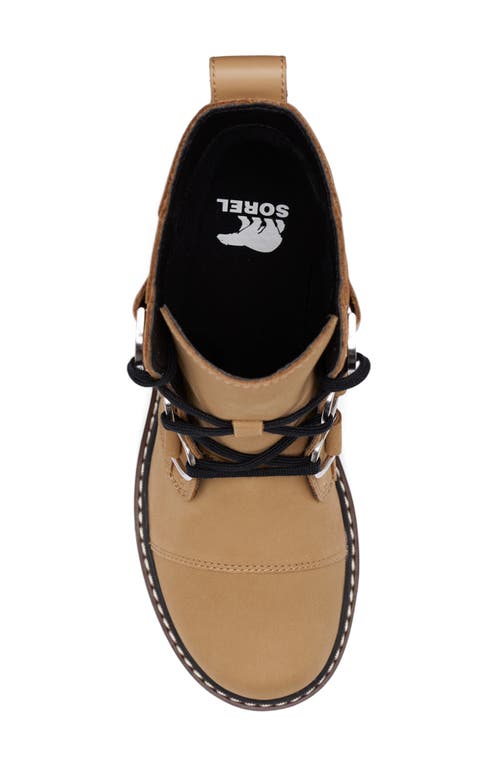 Shop Sorel Joan Now Lace-up Boot In Caribou Buff/black