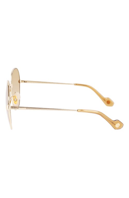 Shop Lanvin Arpege 59mm Tinted Round Sunglasses In Gold/caramel
