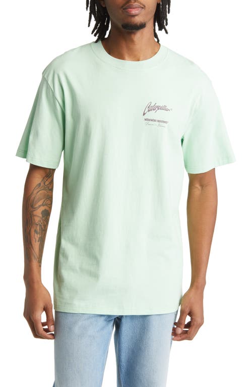 Waves Graphic Tee in Pastel Green