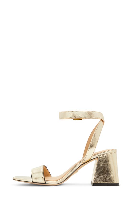 Shop Ted Baker Milly Icon Ankle Strap Sandal In Gold