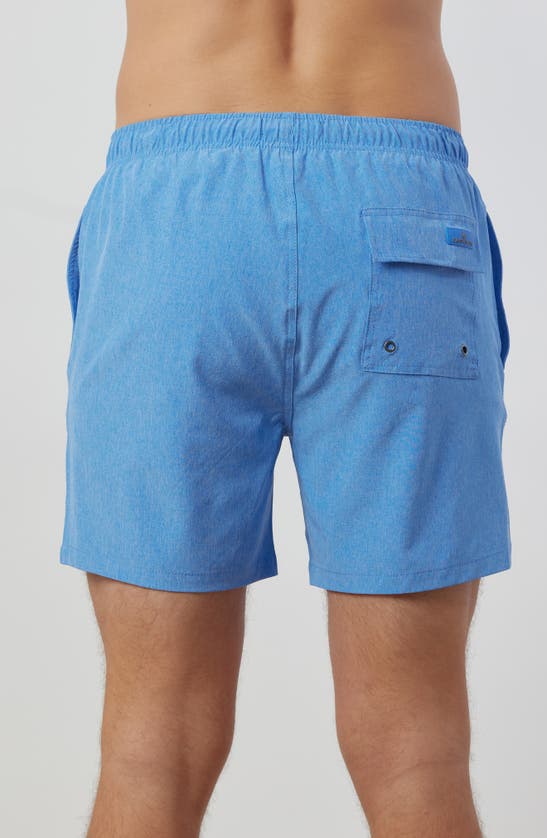Rainforest Not Your Average Solid Swim Trunks In Ultra Marine