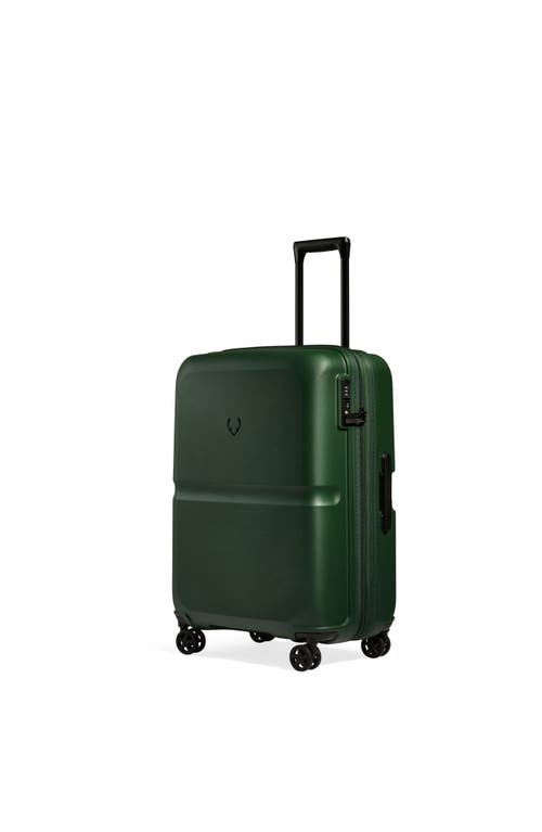 Antler Single Stripe Medium In Green