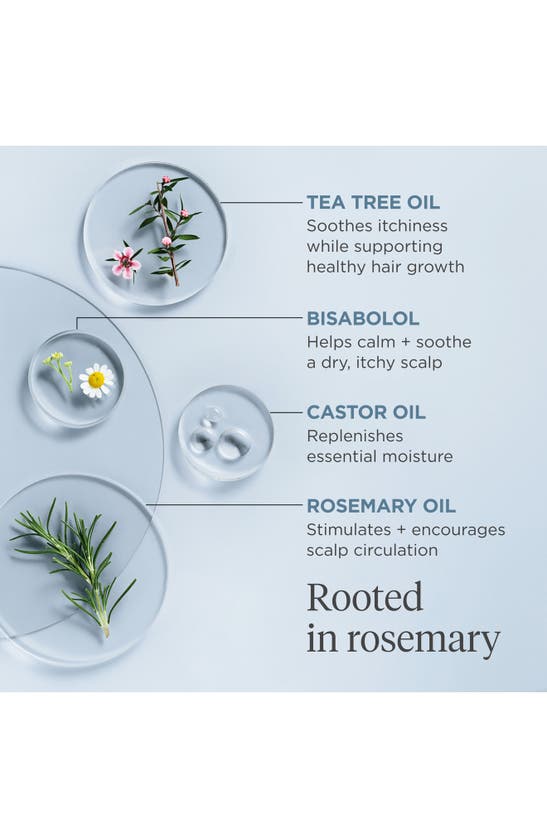 Briogeo Scalp Revival Rosemary Pre-wash Oil For Hair And Scalp