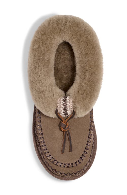 Shop Ugg(r) Tasman Alpine Genuine Shearling Clog In Hickory