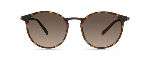 Modo 701 Sunglasses In Brown Tortoise