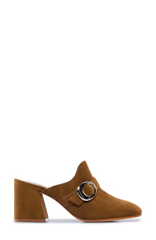 Shop Bernardo Footwear Natasia Mule In Safari