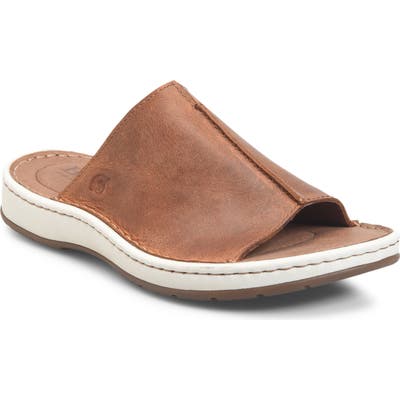 B?rn Klamath Slide, Brown