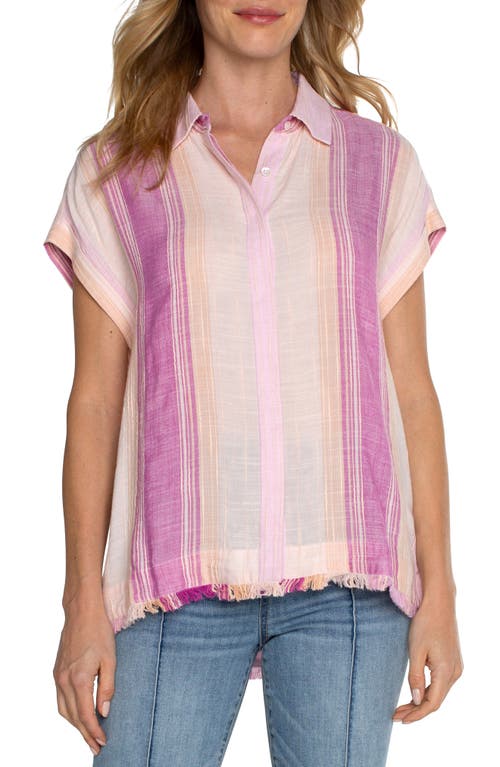 Liverpool Los Angeles Stripe High Low Short Sleeve Button-Up Shirt Lavender Multi at Nordstrom,