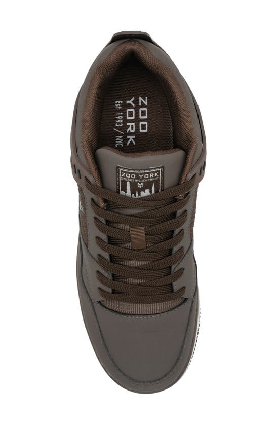 Shop Zoo York All Time Sneaker In Brown