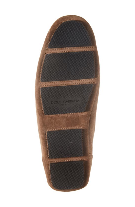 Shop Dolce & Gabbana Crosta Driving Shoe In Nocciola