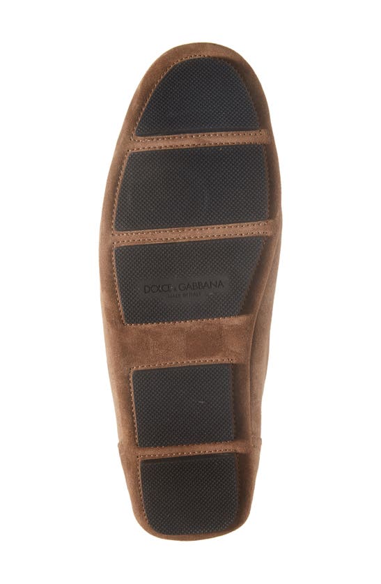 Dolce & Gabbana Brown Driver Loafers In Nocciola