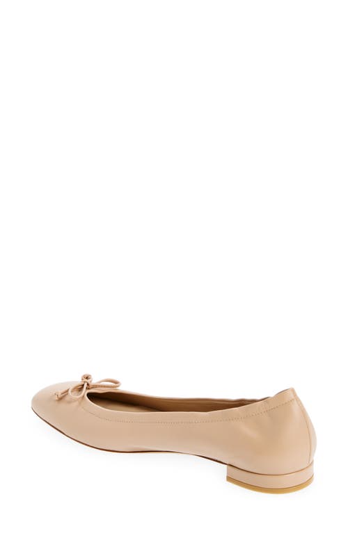 Shop Stuart Weitzman Bria Ballet Flat In Adobe