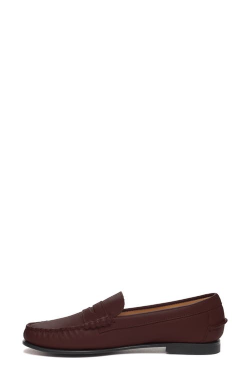 Shop Sebago Danielle Pop Loafer In Dark Brown