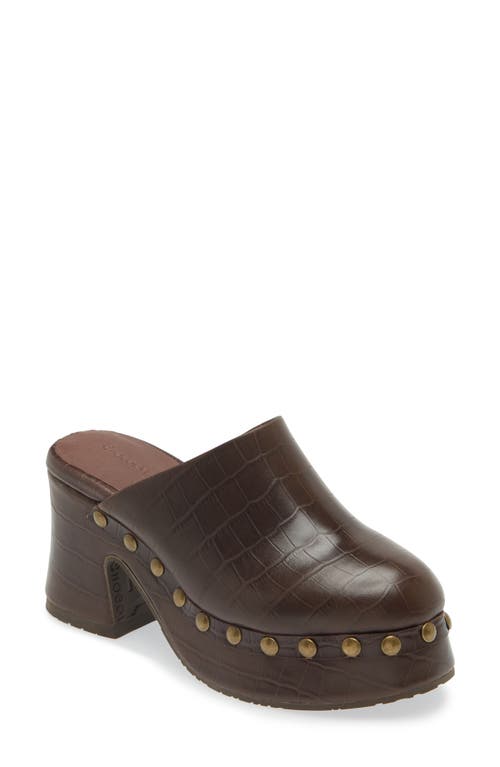 Shop Chocolat Blu Hester Platform Clog In Brown Embossed Crocodile