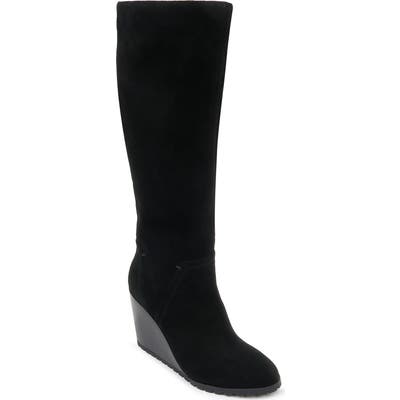 Splendid Patience Knee High Boot, Black
