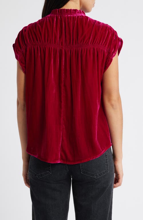 Shop Wit & Wisdom Extended Sleeve Velvet Top In Raspberry Rose