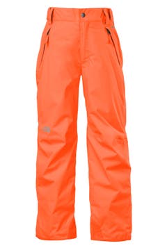 The North Face 'Freedom' Waterproof Heatseeker™ Insulated Snow Pants