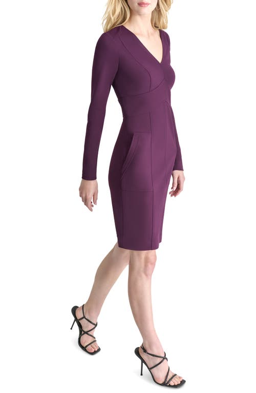 Dkny Long Sleeve Sheath Dress In Raisin