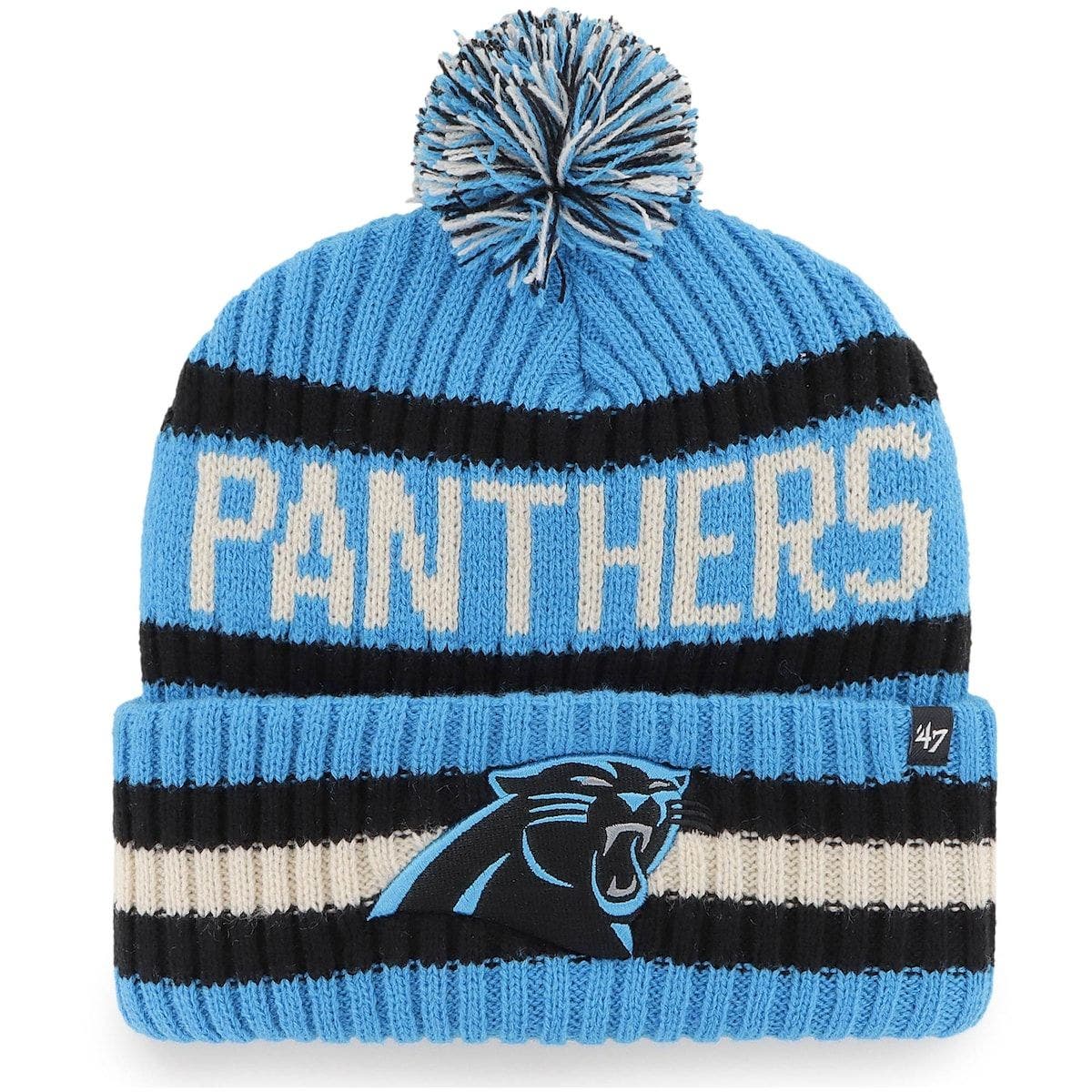 panthers winter hat