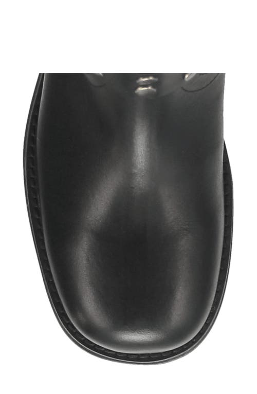 Dingo Anarchy Leather Bootie In Black