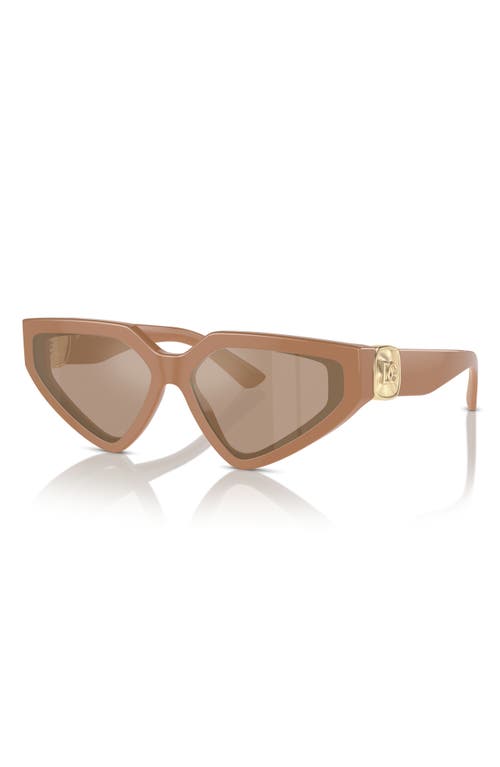 Shop Dolce & Gabbana Dolce&gabbana 59mm Butterfly Sunglasses In Camel