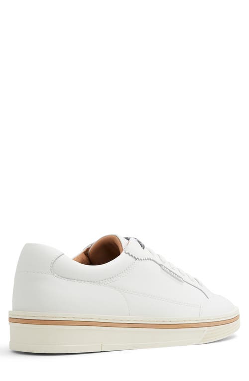 Ted Baker Hampstead Sneaker In White