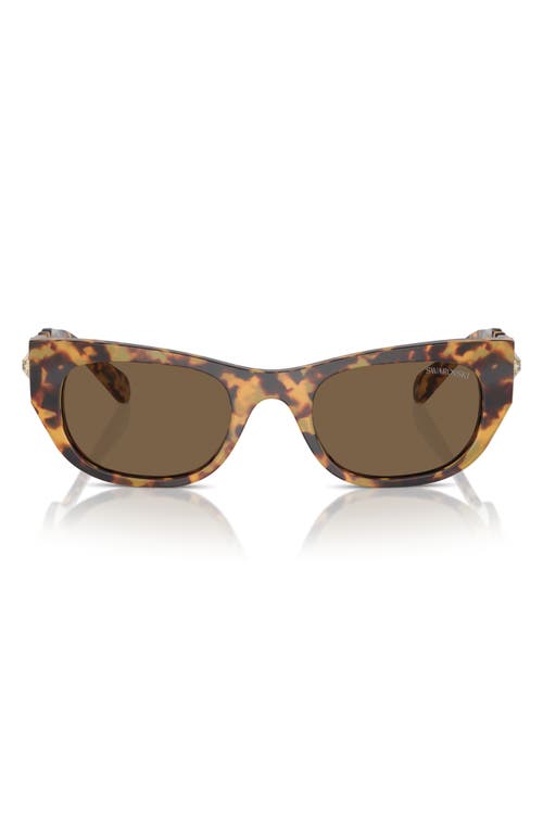 Swarovski 53mm Pillow Sunglasses In Brown