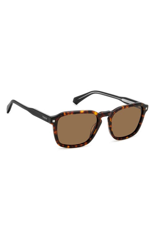 Shop Polaroid 53mm Polarized Rectangular Sunglasses In Havana/bronze Polarized