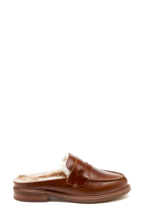 Shop Kelsi Dagger Brooklyn Lock Faux Shearling Lined Mule In Cognac