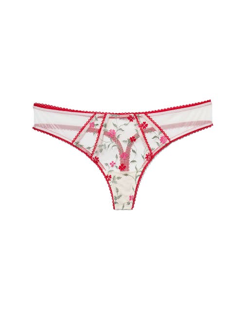 Shop Adore Me Rosa Thong Panties In Floral Red