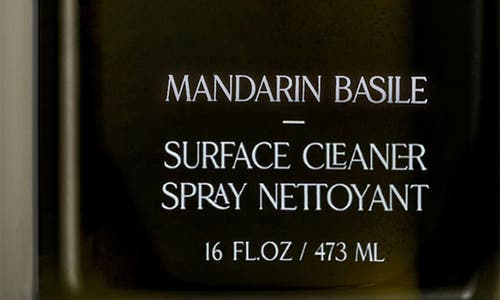 Shop Homecourt Surface Cleaner In Mandarin Basile